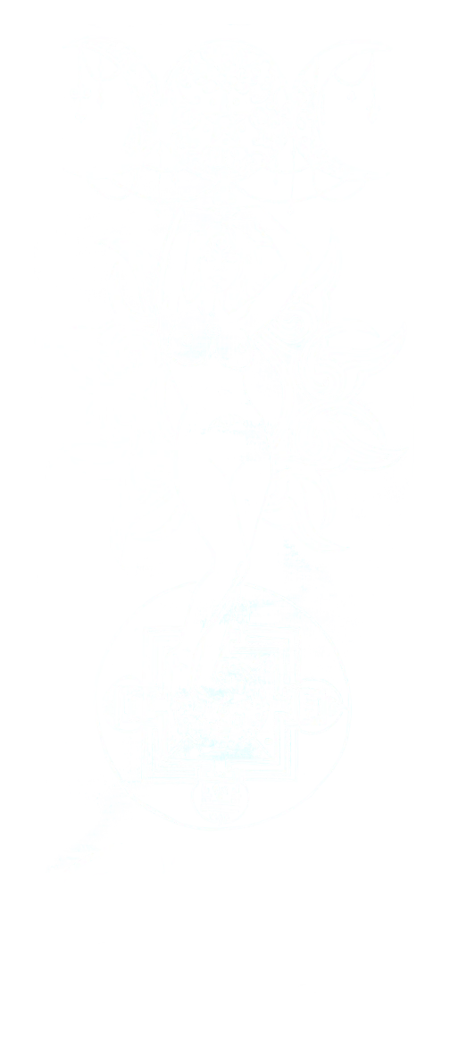 SONO SOLO ALCUNI ESEMPI!